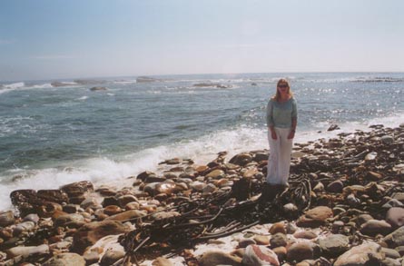 Cape fo Good Hope Beach