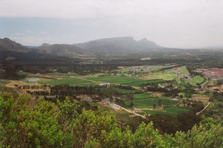Constantia