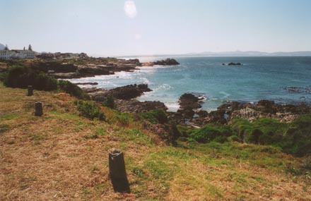 Hermanus